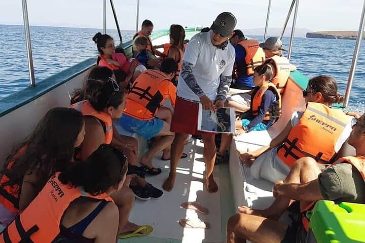 Isla Espíritu Santo Boat Tour from La Paz — Snorkel, Sea Lions & Beach Lunch photo 5