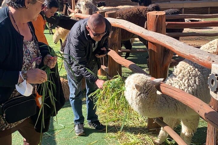Half-Day Cusco City Tour: Qorikancha, Sacsayhuaman & Inca Ruins photo 2