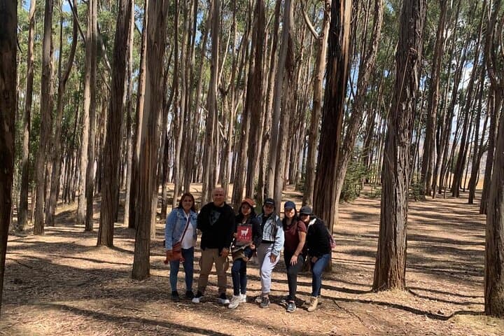 Half-Day Cusco City Tour: Qorikancha, Sacsayhuaman & Inca Ruins photo 6
