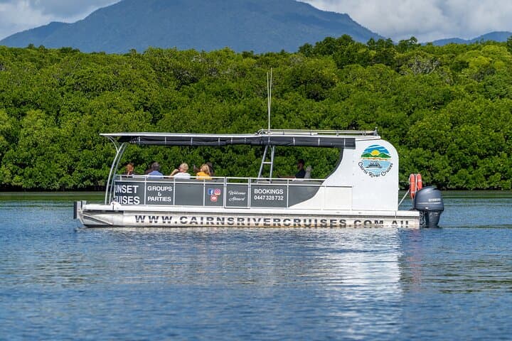 Cairns Trinity Inlet Sightseeing Safari — Mangroves, Wildlife & Coastal Cruise photo 1