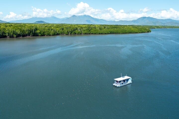 Cairns Trinity Inlet Sightseeing Safari — Mangroves, Wildlife & Coastal Cruise photo 2