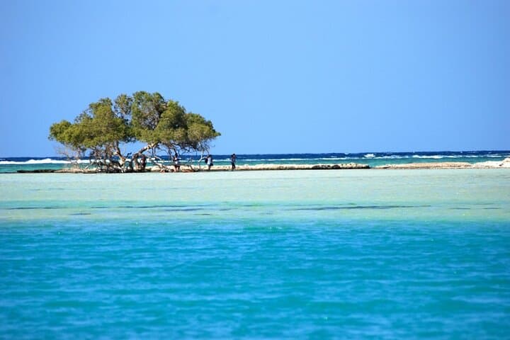Full-Day Private Cruise in Ain Sokhna: Red Sea Day Trip from Cairo with Lunch photo 3