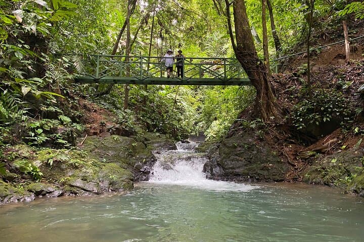 Guided Hike to Ébano Waterfalls — Mystic Rainforest Trails Near Quepos photo 1