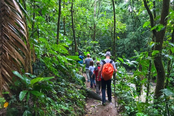 Guided Hike to Ébano Waterfalls — Mystic Rainforest Trails Near Quepos photo 2
