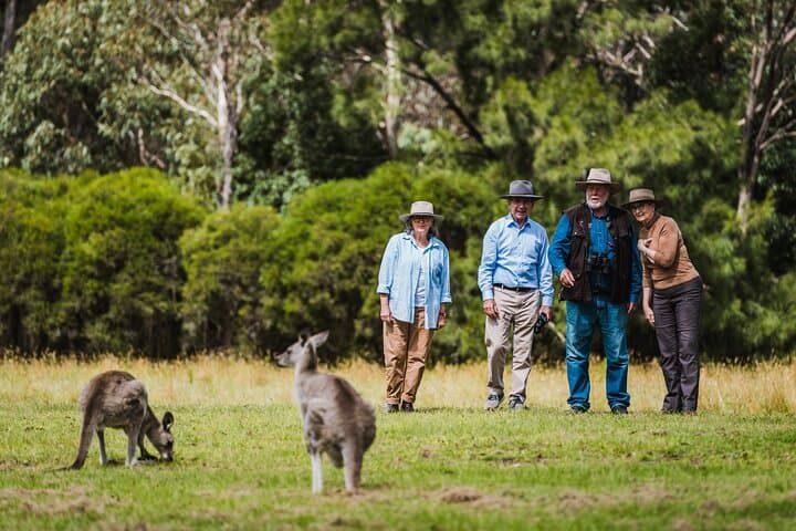 Best of Wildlife: Kangaroos, Koalas & Platypus at Tidbinbilla — Half-Day Canberra Tour