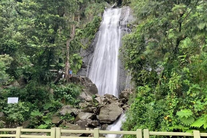 El Yunque Rainforest to Luquillo Beach: Half-Day Rainforest Walk and River Swim photo 3