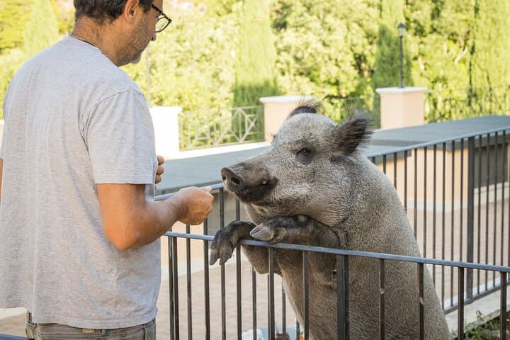 Private Animal Encounter at Borgo Incantato near Spoleto photo 5