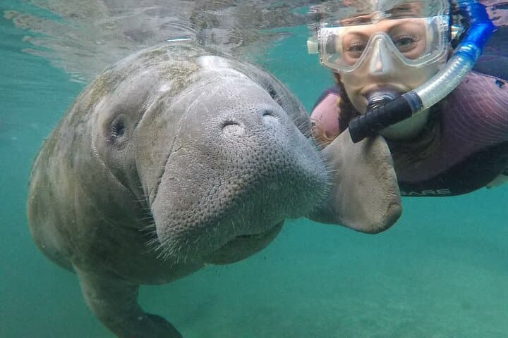 Snorkel in Homosassa, Florida