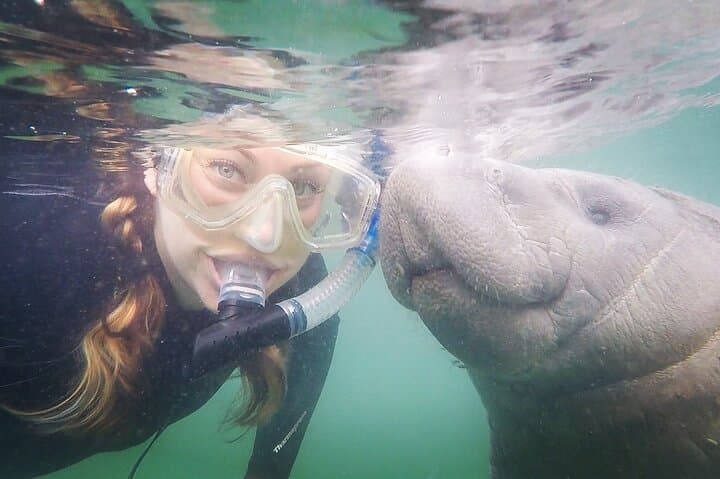 VIP Private Manatee Snorkel Tour in Crystal River — Private Boat, In-Water Guide & Photos photo 2