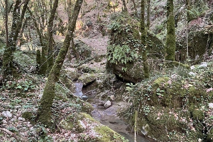 Forest Waterfall Hike at Borgo Incantato: Private Guided Swim and Picnic near Perugia photo 3