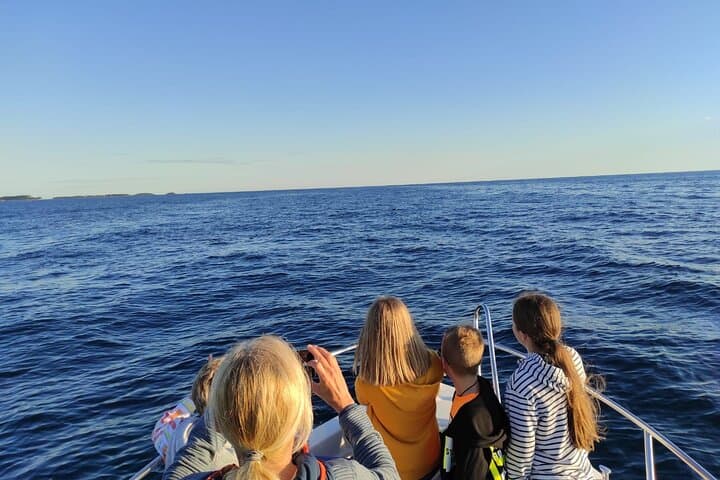 Rovinj by Night: Speedboat Evening to Istria’s Harbor & Old Town photo 3