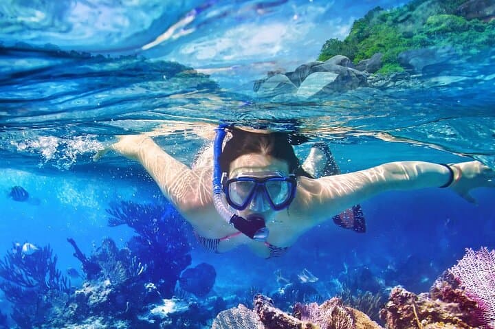 Sail to Isla Contoy & Isla Mujeres: Day Catamaran Snorkel from Playa del Carmen photo 4