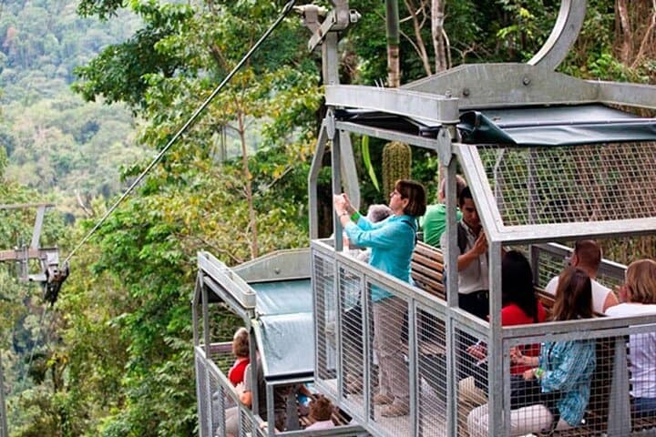 Veragua Rainforest Tram Ride & Guided Rainforest Experience Near Puerto Limón