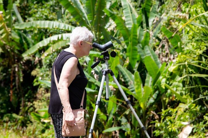 Veragua Rainforest Tram Ride & Guided Rainforest Experience Near Puerto Limón photo 3