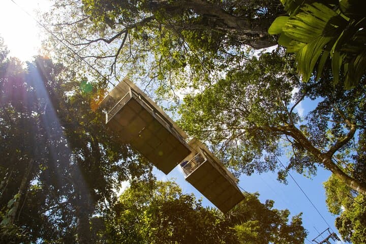 Veragua Rainforest Tram Ride & Guided Rainforest Experience Near Puerto Limón photo 4