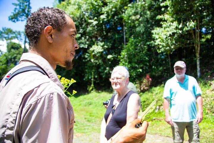 Veragua Rainforest Tram Ride & Guided Rainforest Experience Near Puerto Limón photo 5