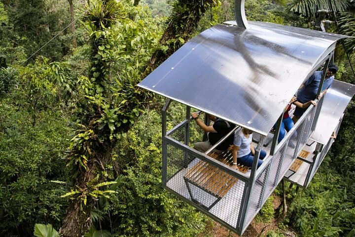 Veragua Rainforest Tram Ride & Guided Rainforest Experience Near Puerto Limón photo 6