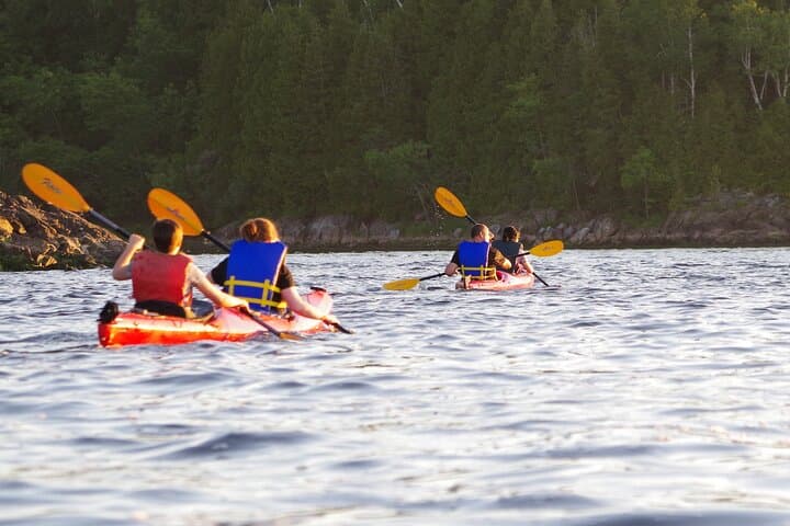 River Relics Kayaking Adventure on the Saint John River from Dominion Park photo 4