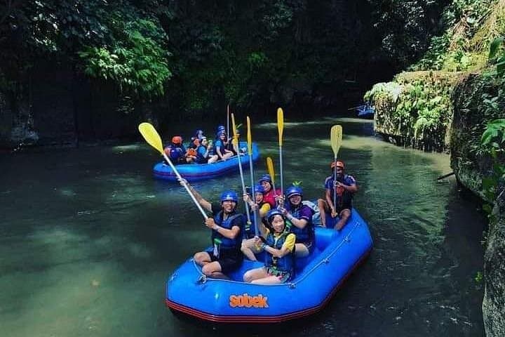 Ayung River Rafting in Ubud: White-Water Jungle Adventure and Cultural River Cruise photo 4