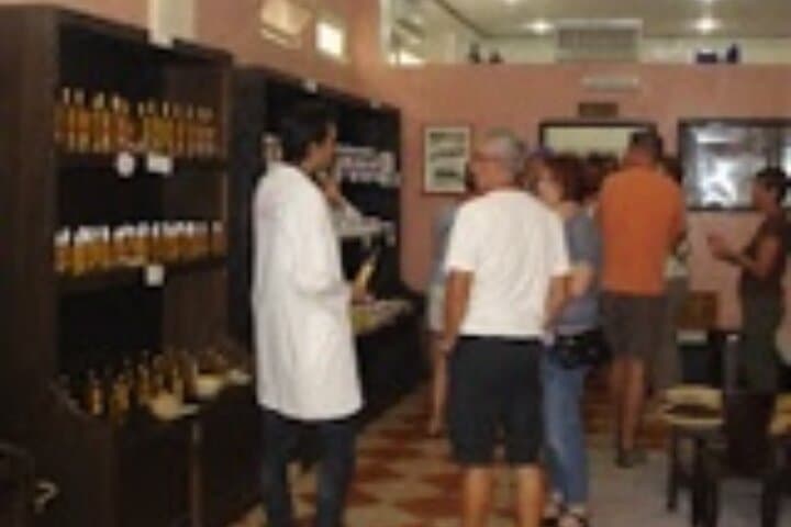 Agadir City Tour: Kasbah Views, Argan-Oil Workshops & the Grand Souk photo 4