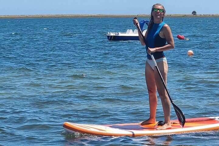 Stand-Up Paddle in Ria Formosa: SUP Rental to Explore Islands, Beaches & Wildlife
