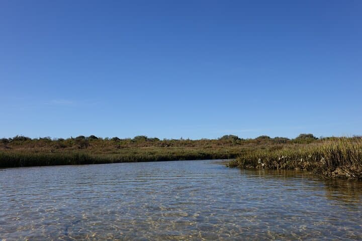Stand-Up Paddle in Ria Formosa: SUP Rental to Explore Islands, Beaches & Wildlife photo 4