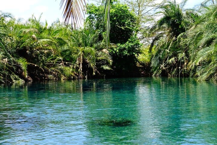 Chemka Hot Springs E-Bike Day Trip — Moshi to Kikuletwa photo 4
