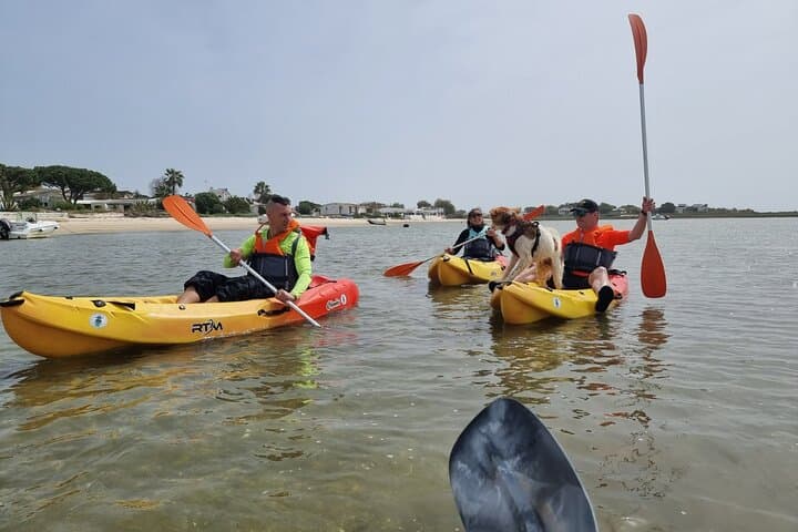 Half-Day Private Kayak Tour in Ria Formosa Natural Park (Faro) photo 1