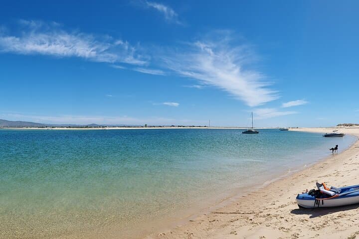 Private Kayak Birdwatching Tour in Ria Formosa (Faro) photo 5