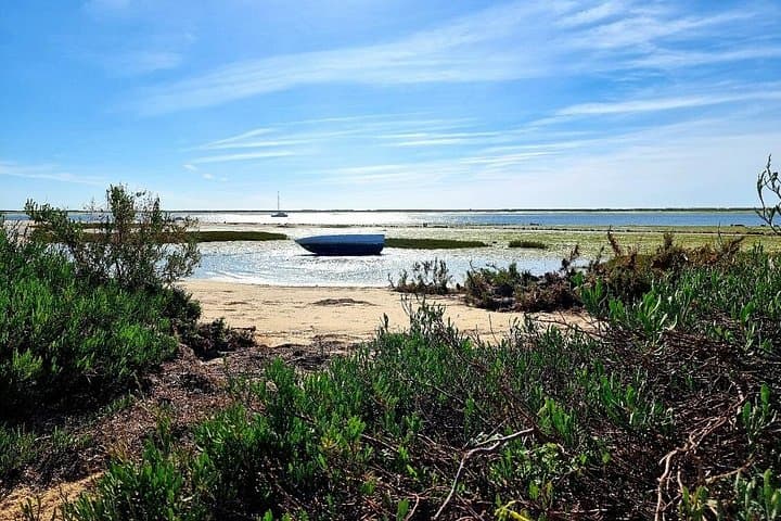 Kayak Armona Island: 2-Hour Eco Tour in Ria Formosa Natural Park photo 2