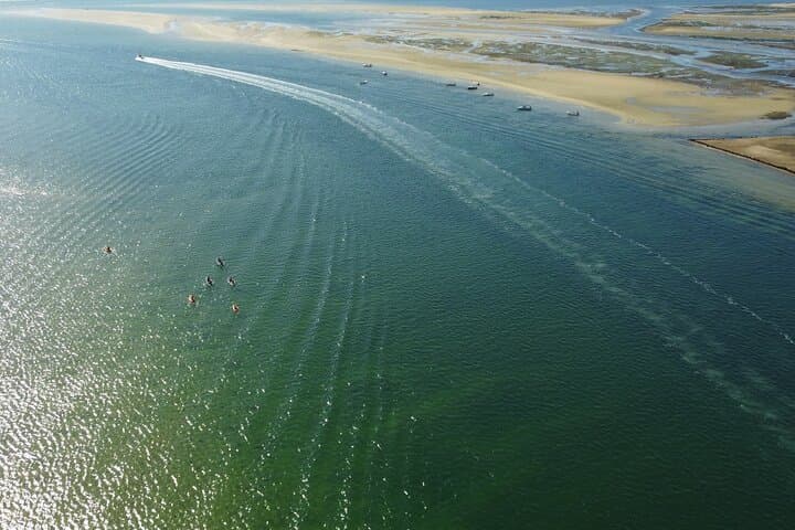 Kayak Armona Island: 2-Hour Eco Tour in Ria Formosa Natural Park photo 3