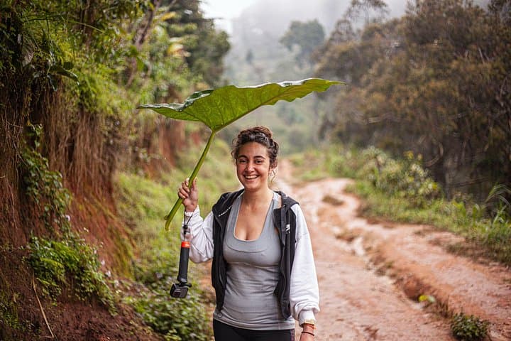 Materuni Waterfall E-Bike Day Trip: Kilimanjaro Foothills Cycling & Coffee Tour photo 3