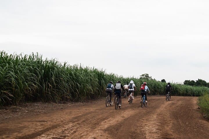 Moshi City Bike Day Trip — Ride Through Markets, Mosques & Kilimanjaro Views photo 6