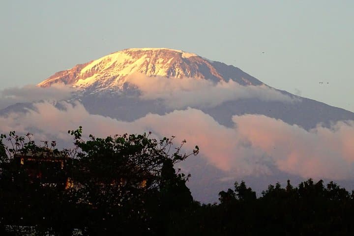 E‑Bike to Shira Plateau: Kilimanjaro Day Ride from Moshi photo 4
