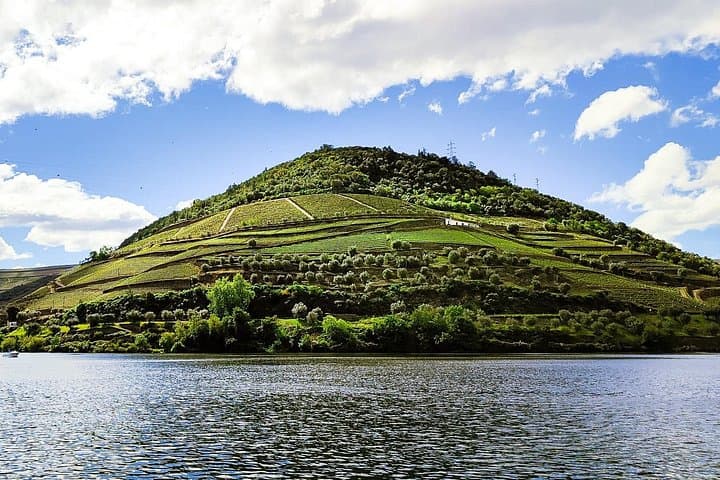 Douro Roots & History: Full-Day Pinhão Wine Tour with Local Lunch