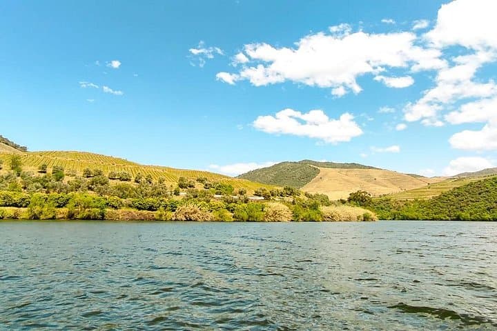Douro Roots & History: Full-Day Pinhão Wine Tour with Local Lunch photo 4