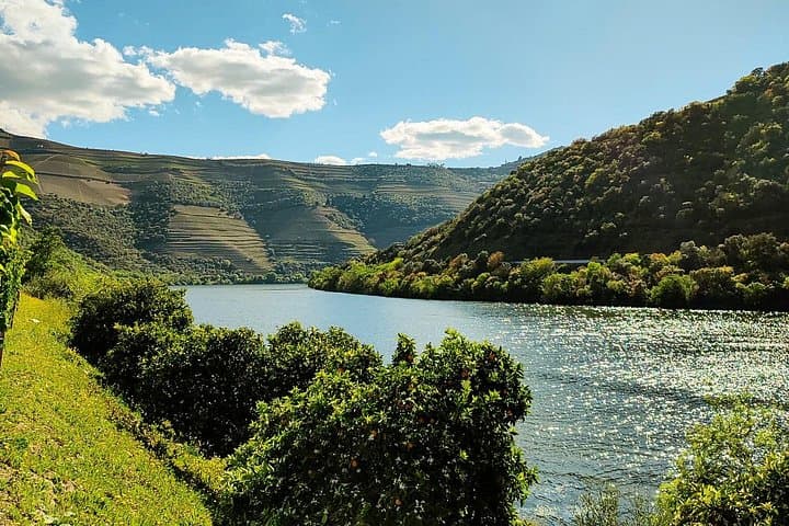 Douro Roots & History: Full-Day Pinhão Wine Tour with Local Lunch photo 6