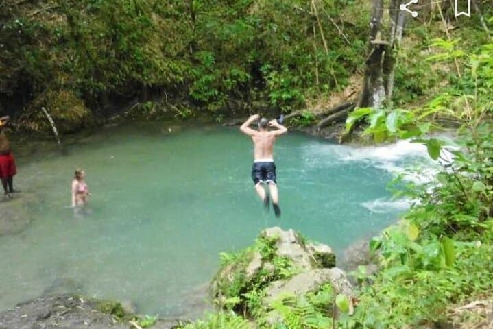 Mayfield Falls Waterfall Tour: Natural Pools, 'Washing Machine' & Lunch photo 4