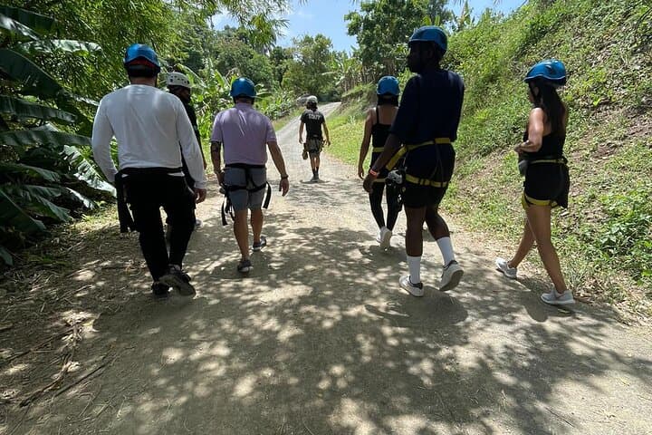 From Cloud Forest to Caribbean Surf