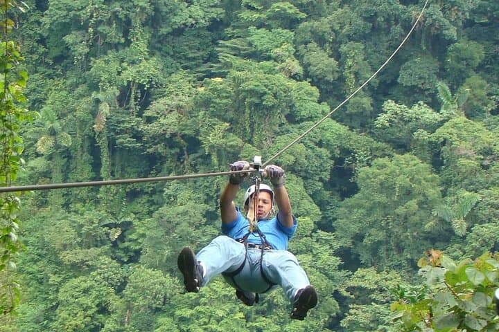 Monteverde Cloud Forest Hanging Bridges & Zipline Day Tour from Guanacaste photo 3