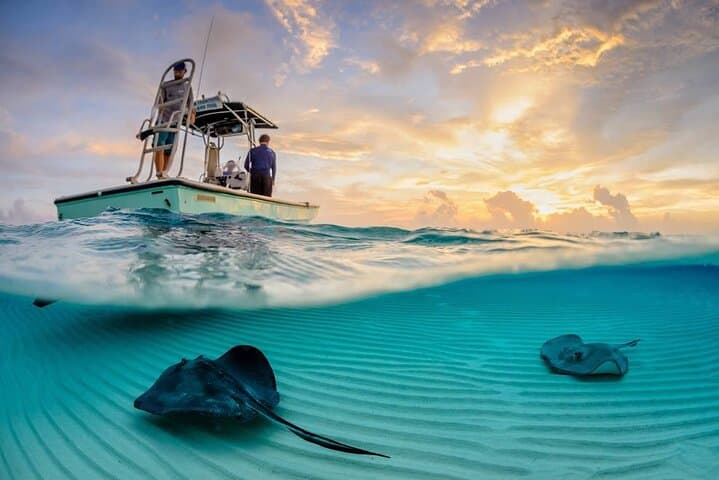 Cozumel Snorkel Trip from Tulum: El Cielo, Palancar & Columbia Reefs photo 3