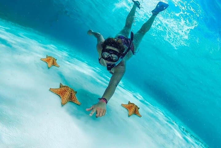 Cozumel Snorkel Trip from Tulum: El Cielo, Palancar & Columbia Reefs photo 2