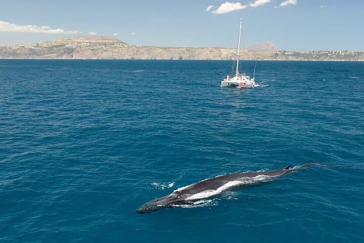 Catamaran Day Trip from Dénia or Jávea with Barbecue and Swim photo 6