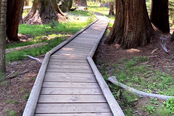 Sequoia National Park Day Tour: General Sherman, Moro Rock & Giant Forest photo 2