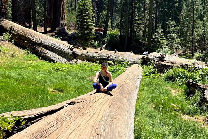 Sequoia National Park Day Tour: General Sherman, Moro Rock & Giant Forest photo 4