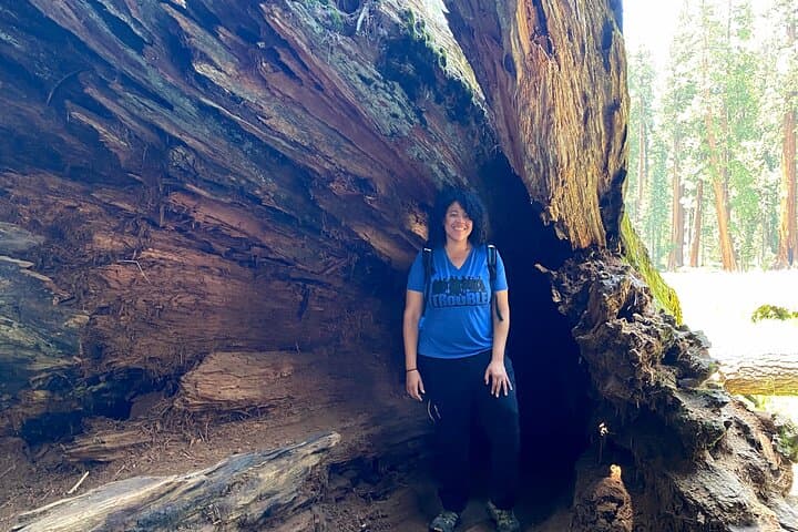 Sequoia National Park Day Tour: General Sherman, Moro Rock & Giant Forest photo 6