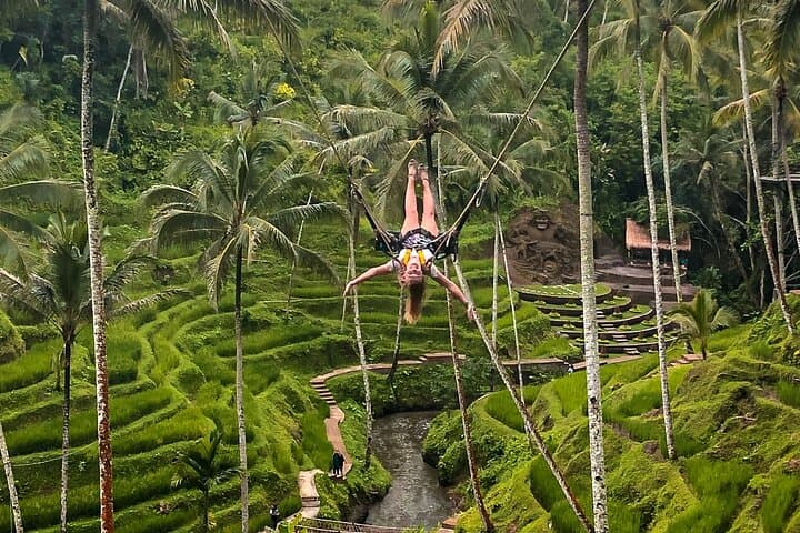 Full-Day Ubud Cultural Circuit: Monkey Forest, Rice Terraces & Waterfall photo 6