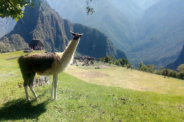 Short Inca Trail & Rainbow Mountain: 4-Day Sacred Valley Hike from Cusco photo 2