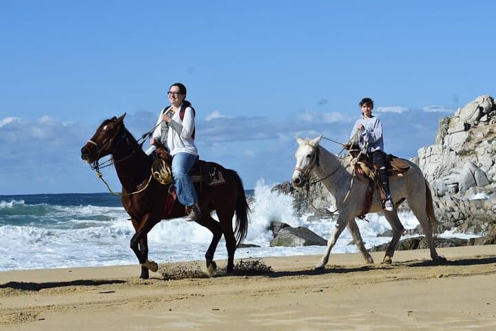 Pacific Coast Horseback Riding from Cabo: Beach and Desert Tour photo 4