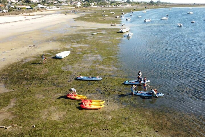 Kayak Armona Island: 2-Hour Eco Tour in Ria Formosa Natural Park photo 5